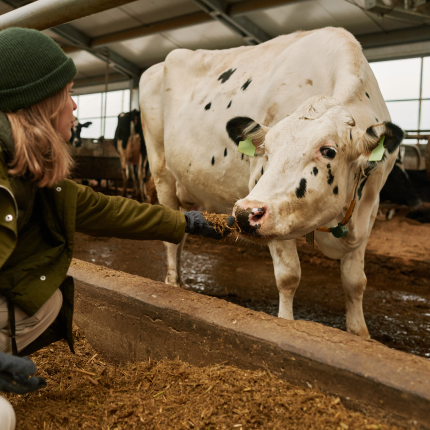 Le Salon de l'Agriculture