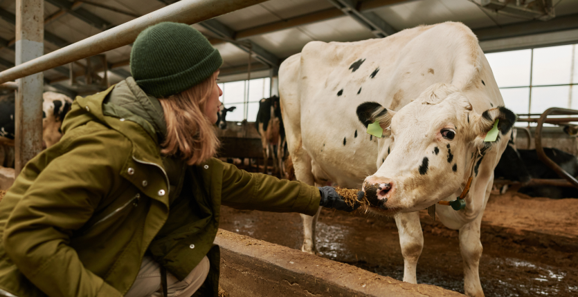 Le Salon de l&rsquo;Agriculture