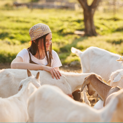 Association Nationale Interprofessionnelle Caprine (ANICAP)