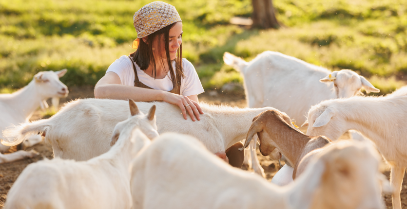 Association Nationale Interprofessionnelle Caprine (ANICAP)